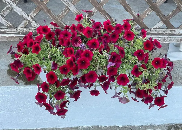 Blu * Lipari (Isola Lipari)