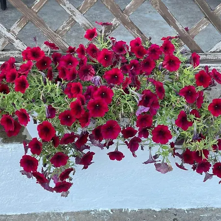 Blu * Lipari (Isola Lipari)